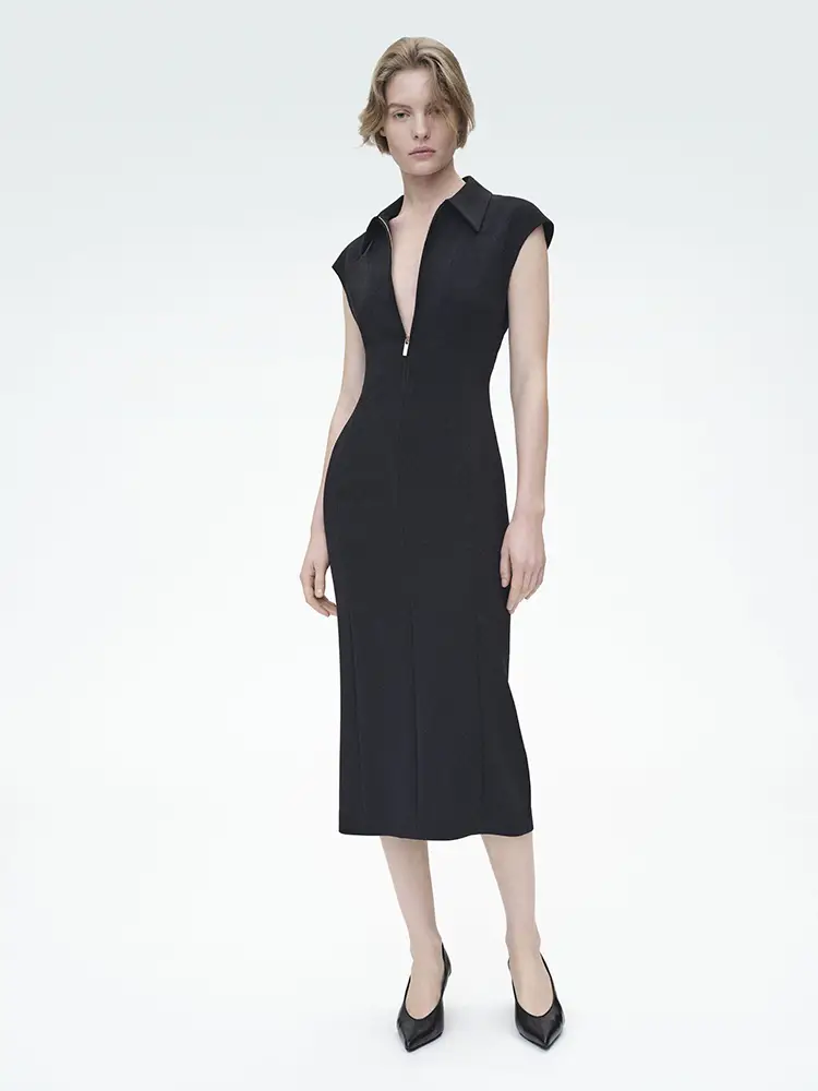 Party Dress Max Mara